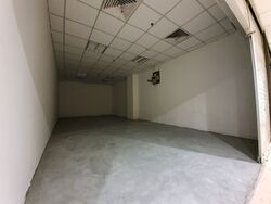Lucky Plaza (D9), Shop House #320417861